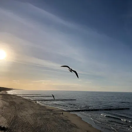 Dom Goscinny Europa * Поберово