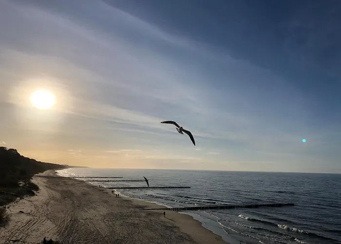 Dom Goscinny Europa * Поберово